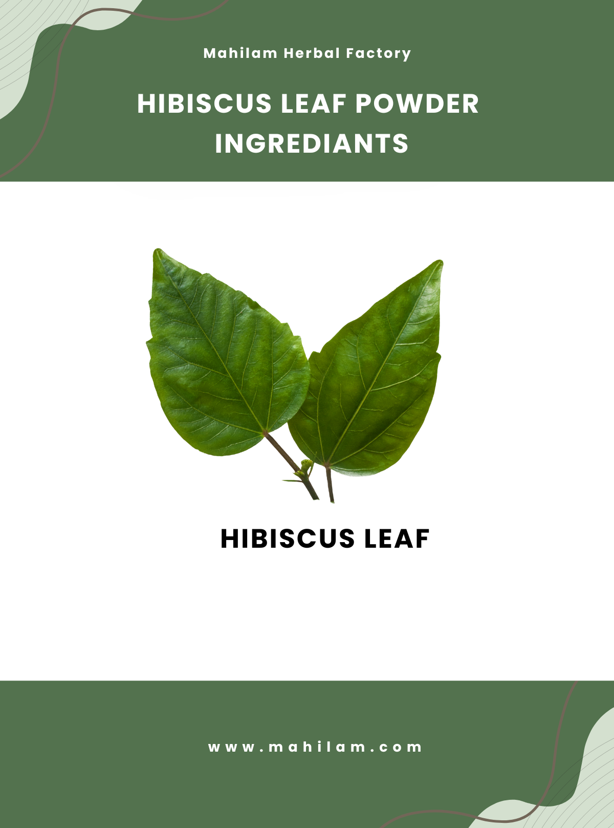 Mahilam Hibiscus Leaf Powder 100g – Herbal Hair & Skin Care Powder for Natural Nourishment